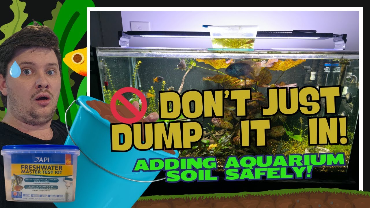 Adding Aquarium Soil to an Already Established Tank: A Step-by-Step Guide