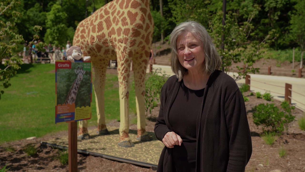 Kids Kamp 2020 - John Ball Zoo: More Animals in ASL
