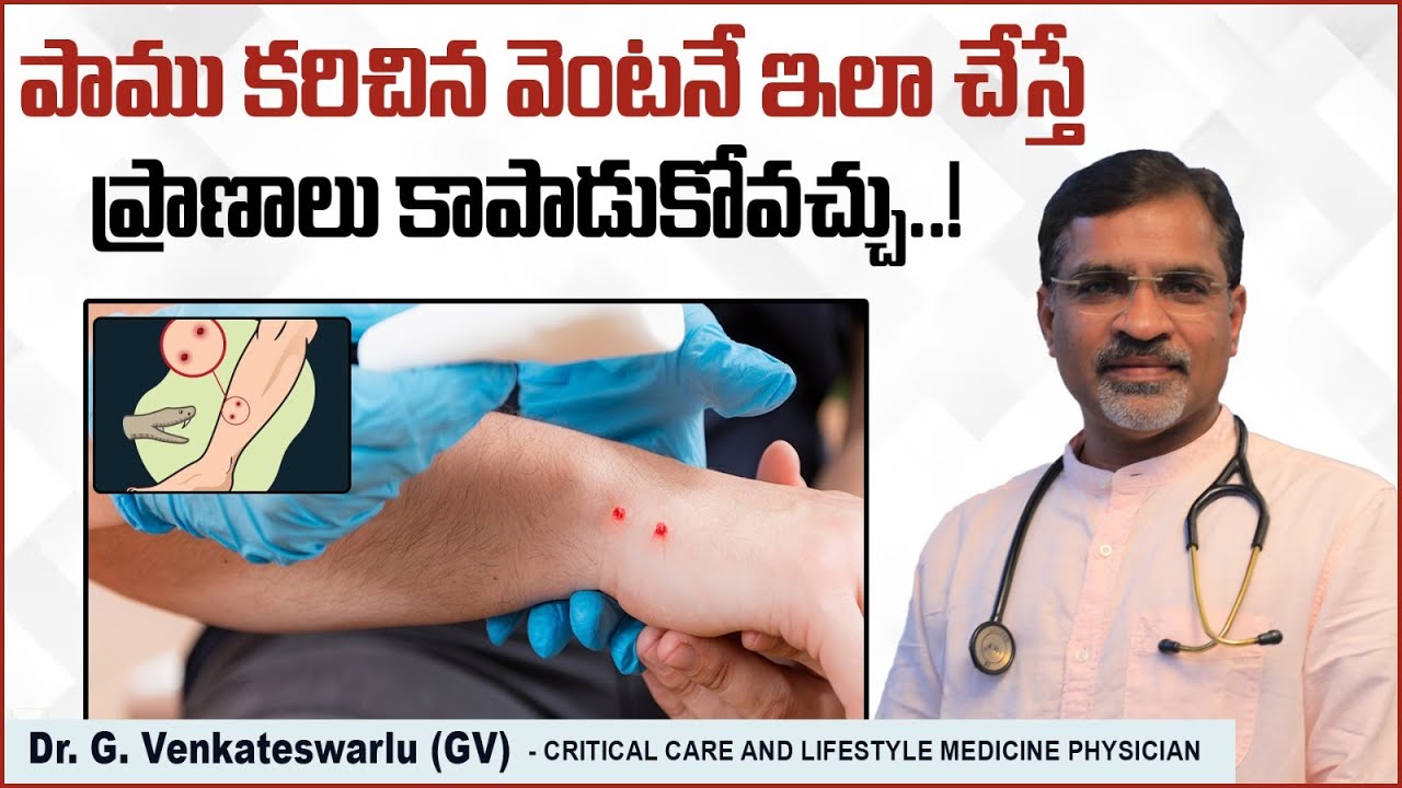 పాము కరిచిన వెంటనే.. | First Aid for Snakebite in Telugu | Snake Bite Treatment | Sriraksha Hospital