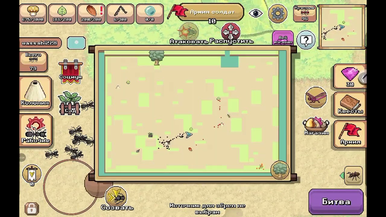 Играем в pocket ants и захватываем богомола