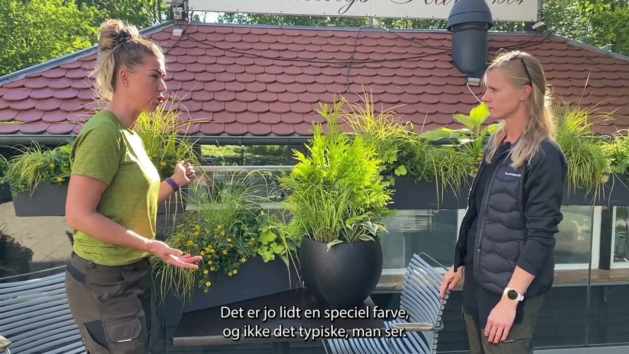 Sådan får du en smuk terrasse og altan hele året