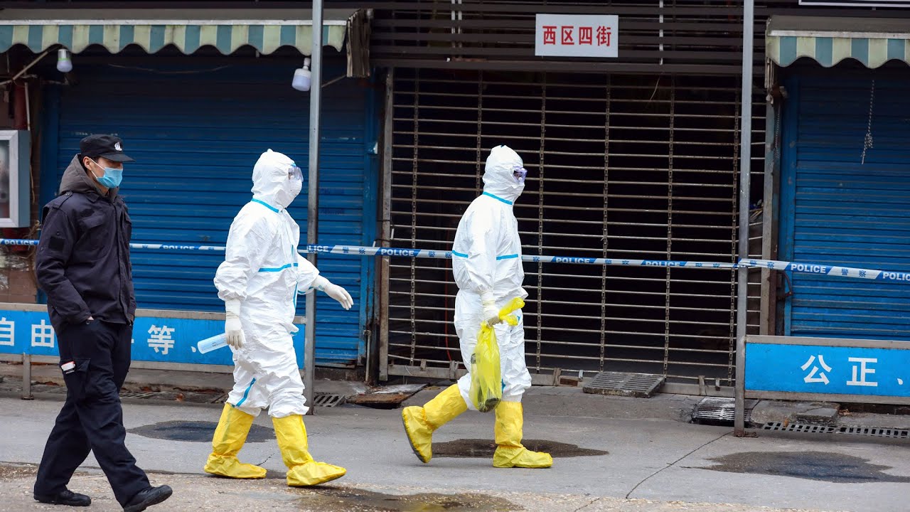New research seeks how the COVID-19 pandemic started