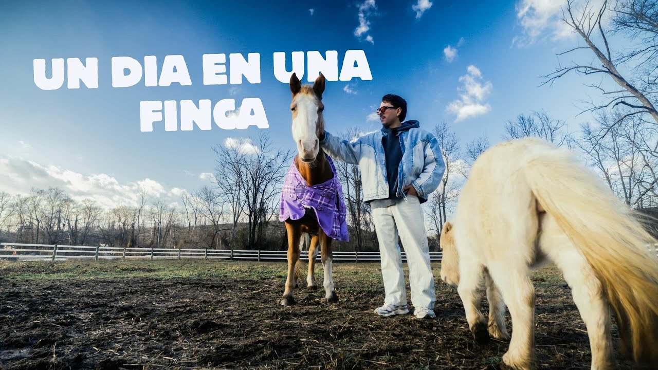 Un día en una finca con caballos