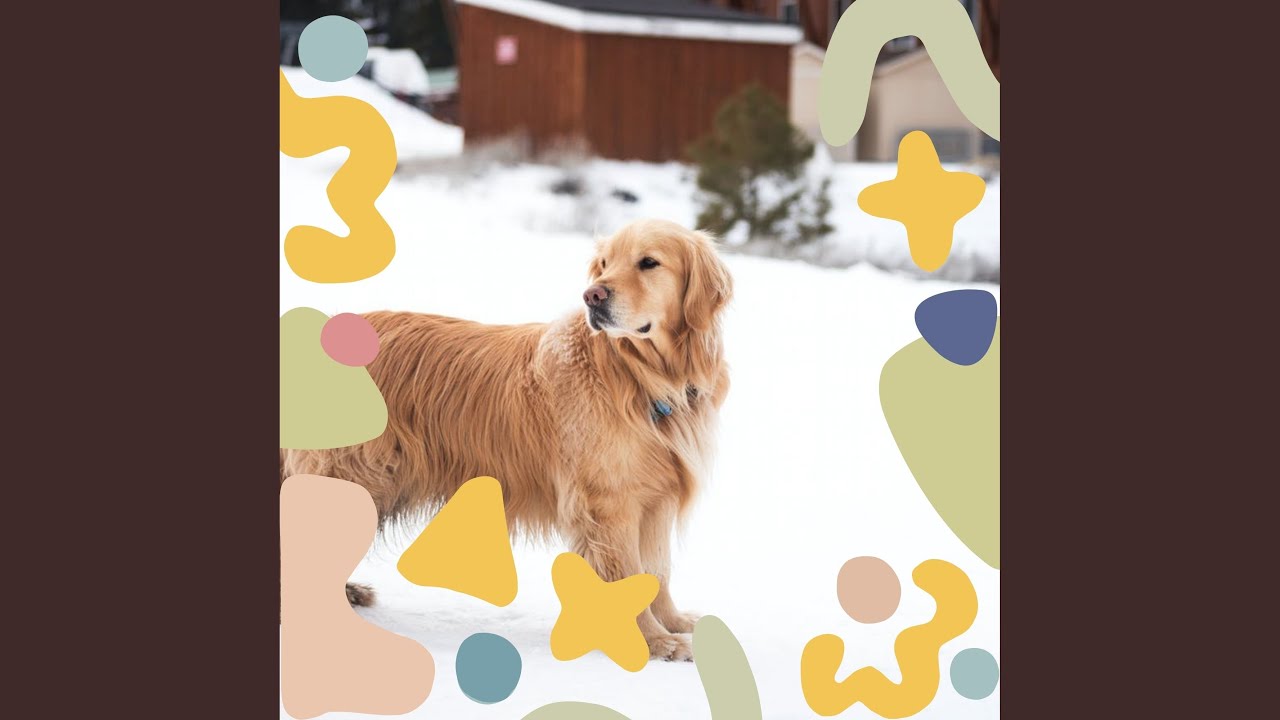 Brilliant Bell Music - Vibe for Training Dogs