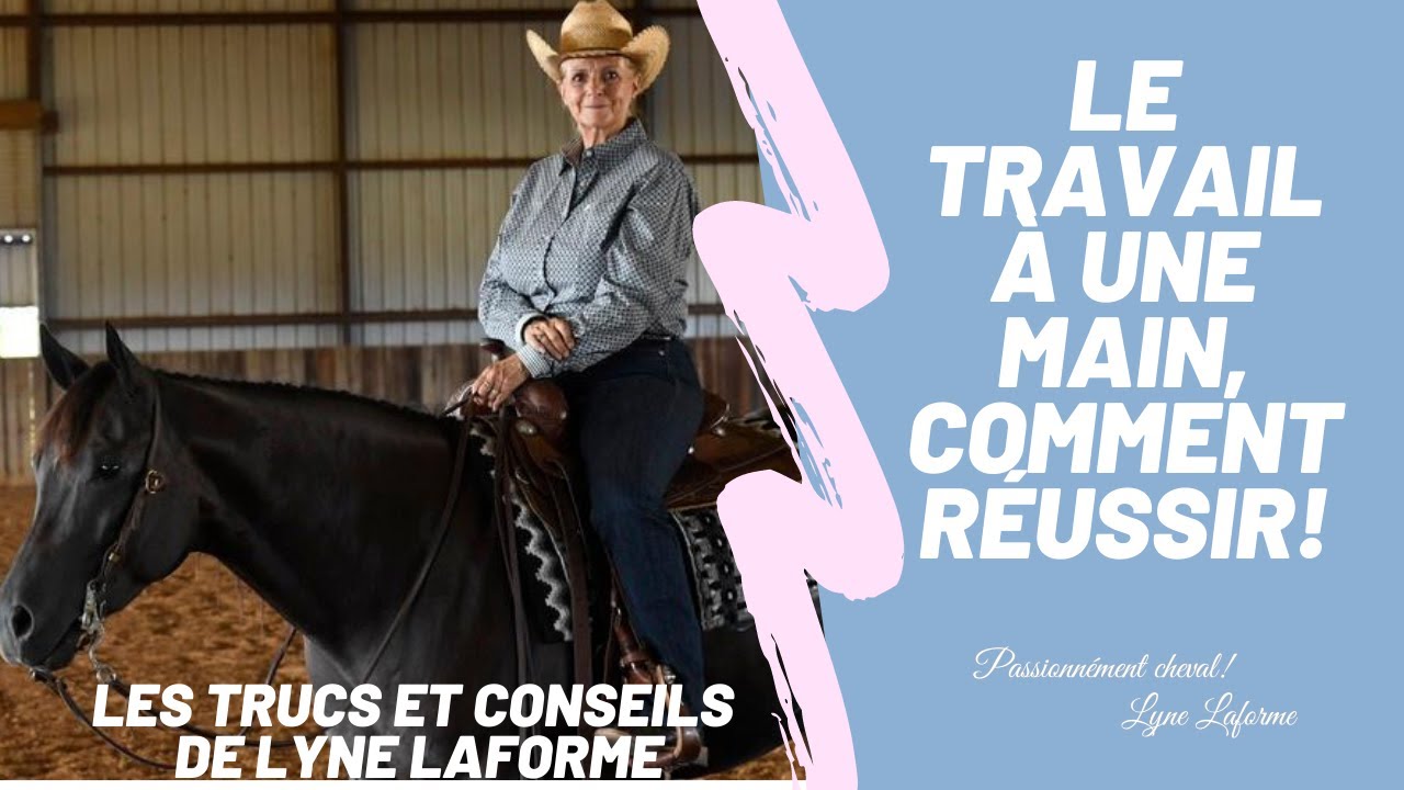Comment travailler votre cheval à une main, voici comment réussir!