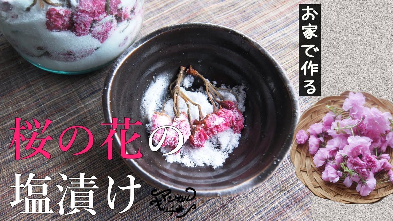 八重桜【桜の花の塩漬け】作り