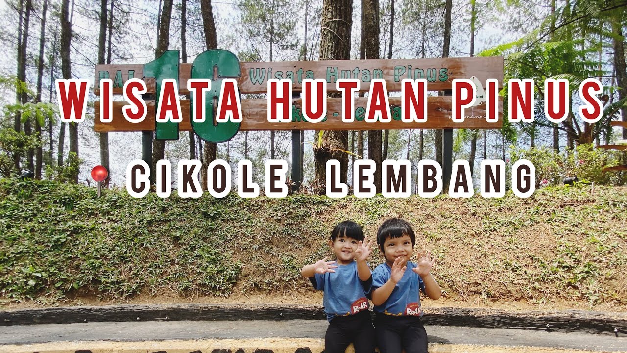 Pal 16 Wisata Hutan Pinus Cikole Cocok Piknik Keluarga harga Terjangkau ! Bebas Bawa Makanan