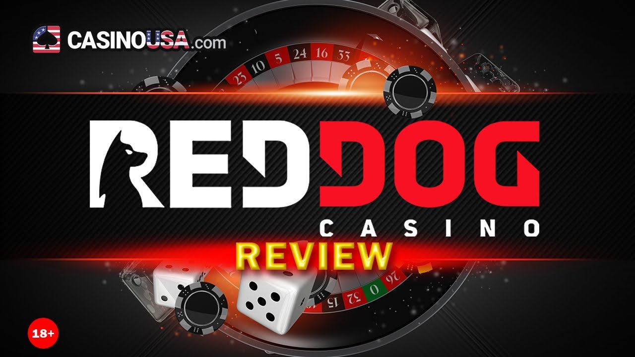 Red Dog Casino Review - Watch This before Playing - RedDog Casino Review