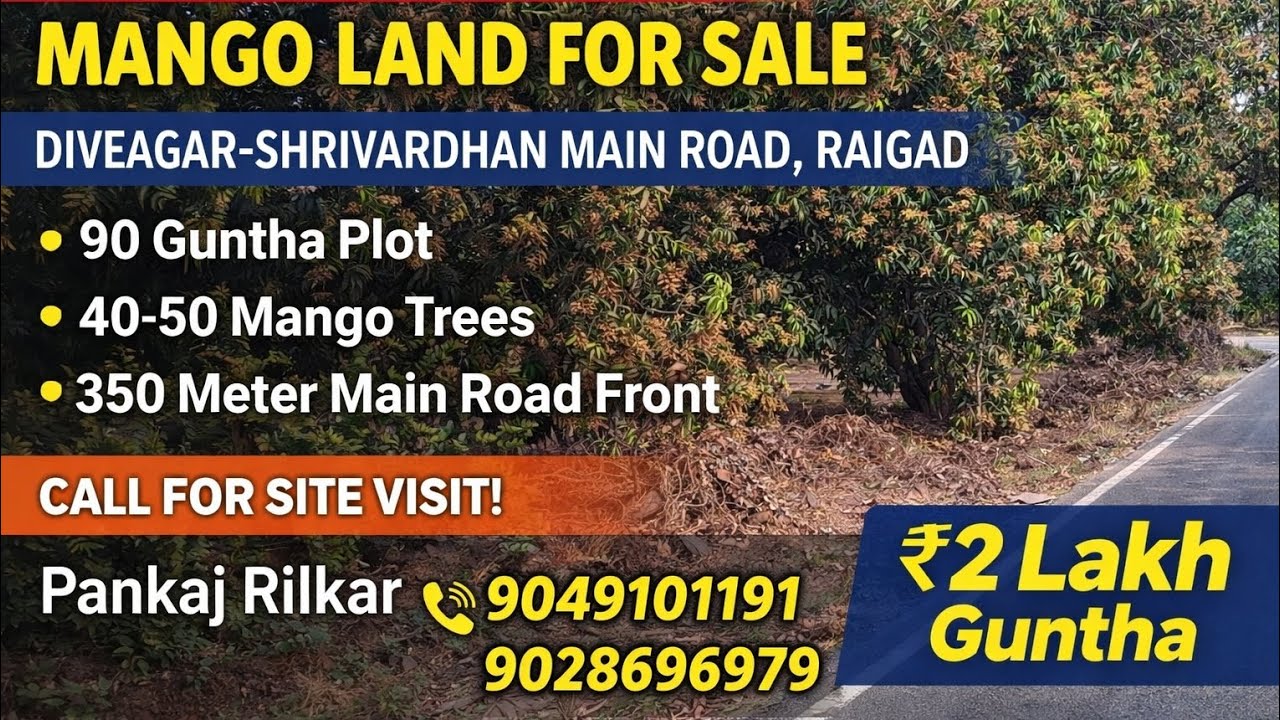 90 Guntha Prime Road Touch Mango Land for Sale | Diveagar–Shrivardhan Main Road | ₹2 Lakh/Guntha