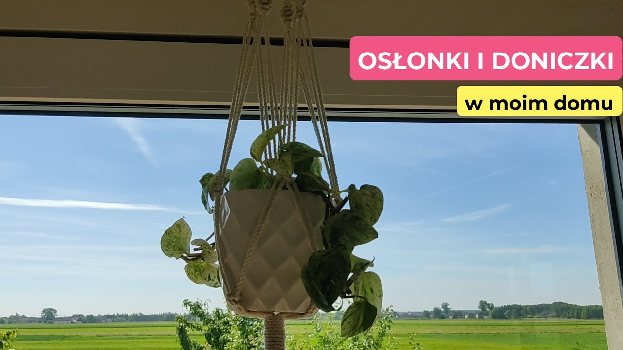 Osłonki i doniczki w moim domu | W czym trzymam kwiaty? | Boho osłonki || Pipilotka
