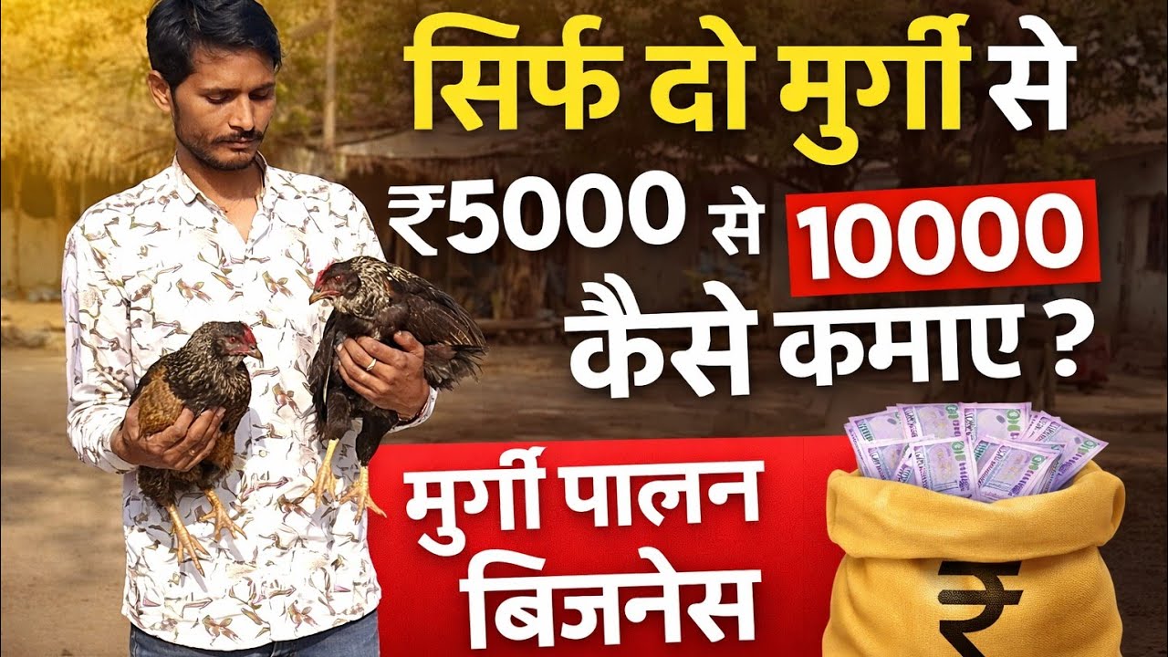 सिर्फ 2 मुर्गी से ₹5000 से ₹10000 कैसे कमाए? | कम खर्च में Desi murgi Palan बिजनेस कैसे करें 2026