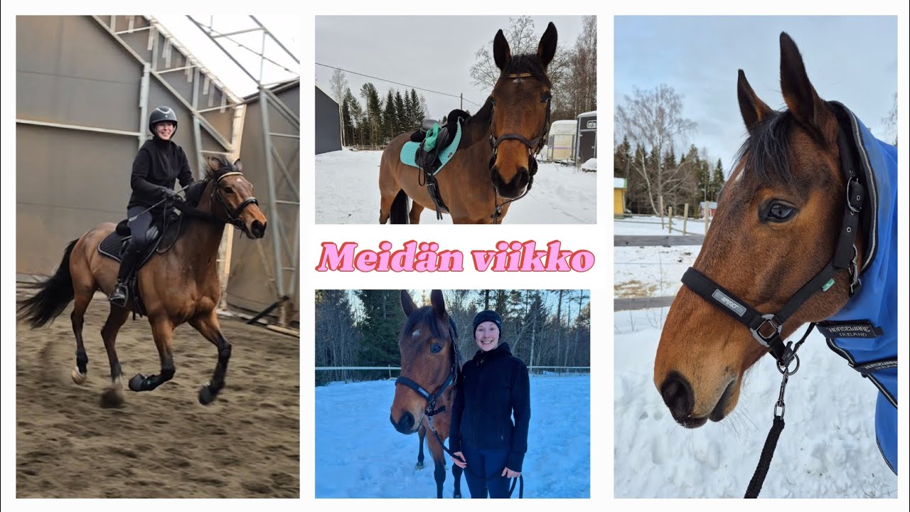 Talli myday: meidän viikko!