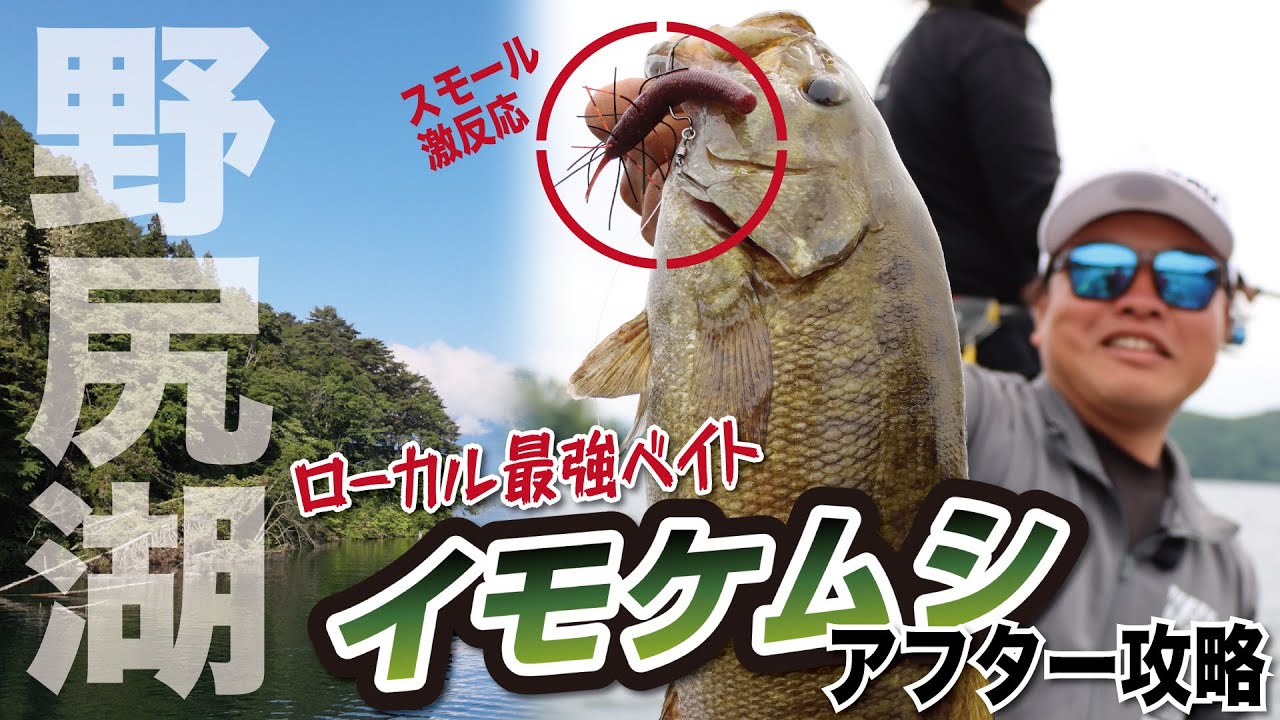 【バス釣り】イモケムシで野尻湖のスモールバスを狙う！