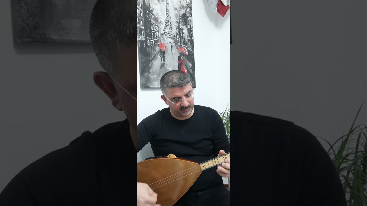 TEPEDEN TIRNAĞA AŞKA BATMIŞIM 