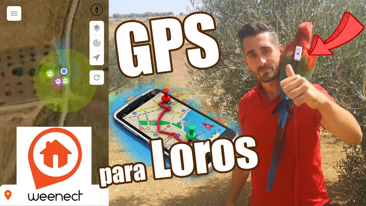 localizador GPS que utilizan mis LOROS