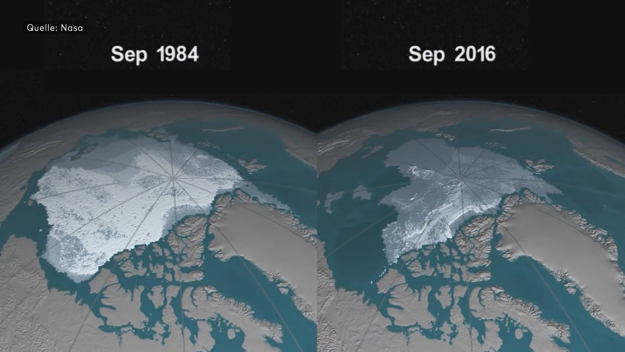Erschreckende NASA-Animation: So schnell verschwindet das Eis der Arktis