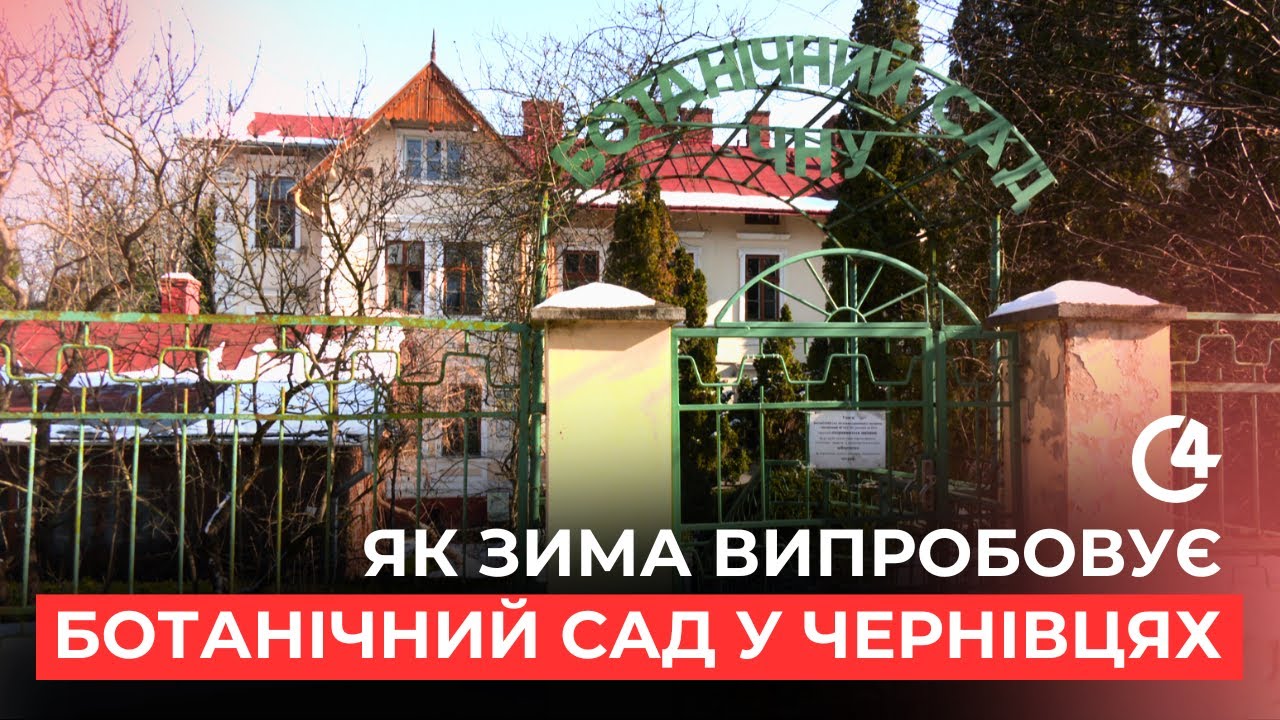 Як зима випробовує ботанічний сад у Чернівцях