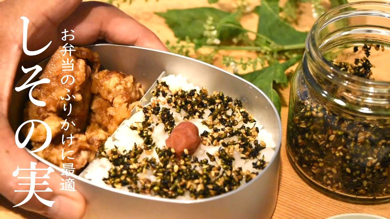 How To Make Shisonomi Furikake Bento box [Shiso herb seeds]