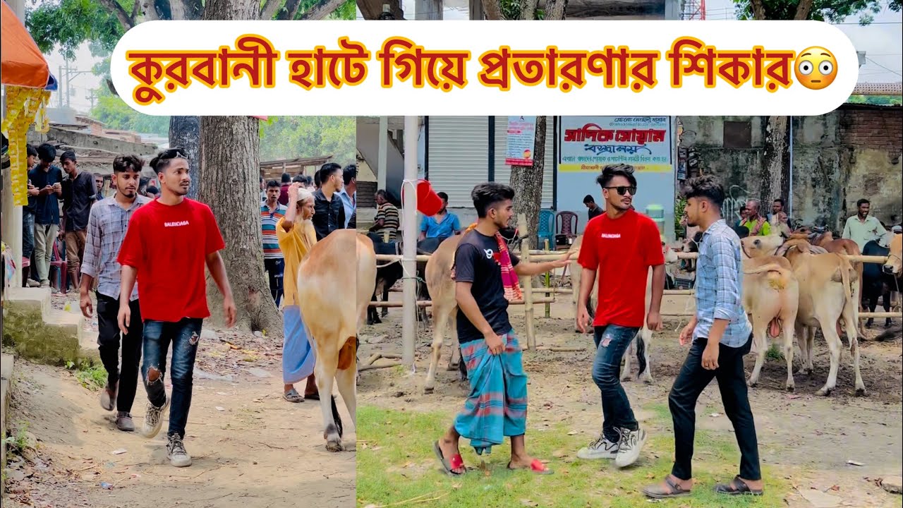 গরুর হাটে গরু কিনতে গিয়ে কি হলো দেখুন😳|| Bangla Short flim || Aminur Islam Avro