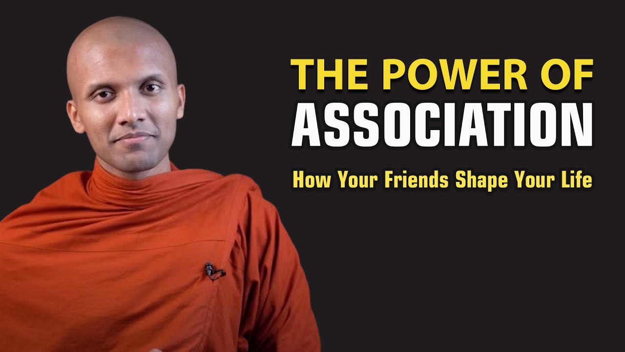 The Power of Association: How Your Friends Shape Your Life | A Buddhist Perspective