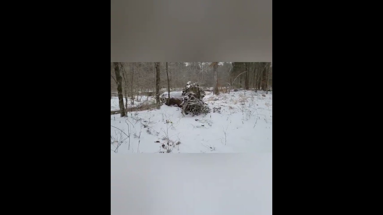 Property Patrol in a Wintery Icey Wonderland 