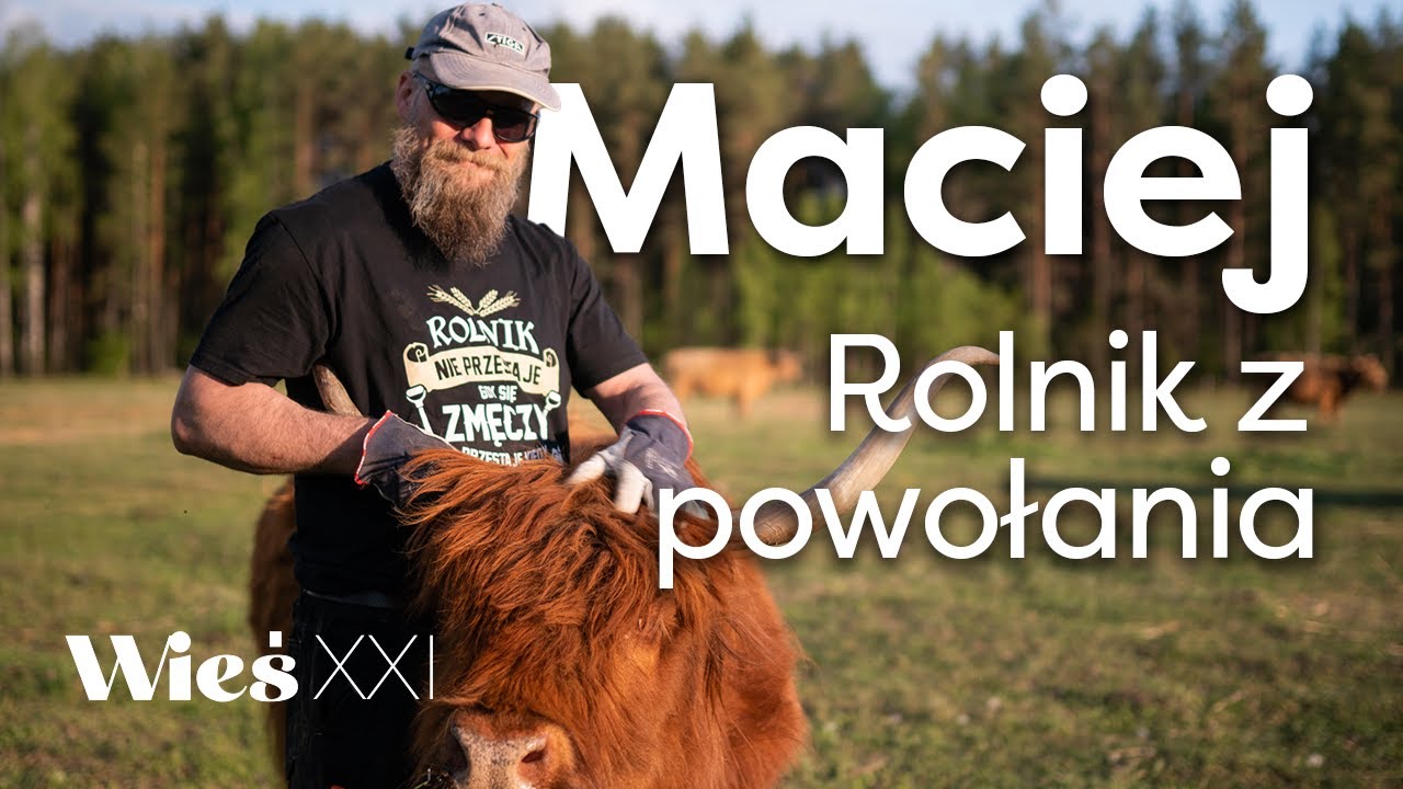 Maciej z ROLNICY PODLASIE opowiada o pasji, opłacalności i krowach Highland Cattle [Wieś XXI]