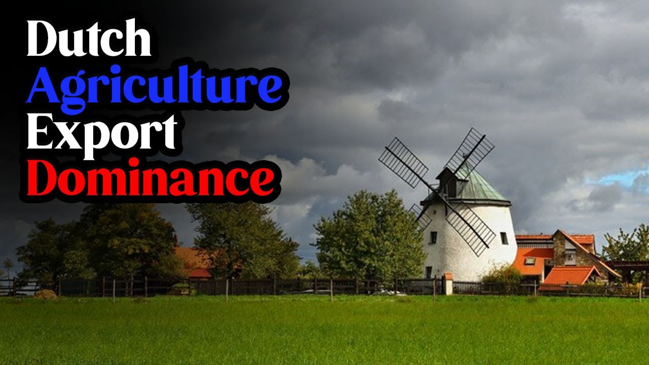 Why the Dutch Lead the World in Agriculture Export | Fact Finder