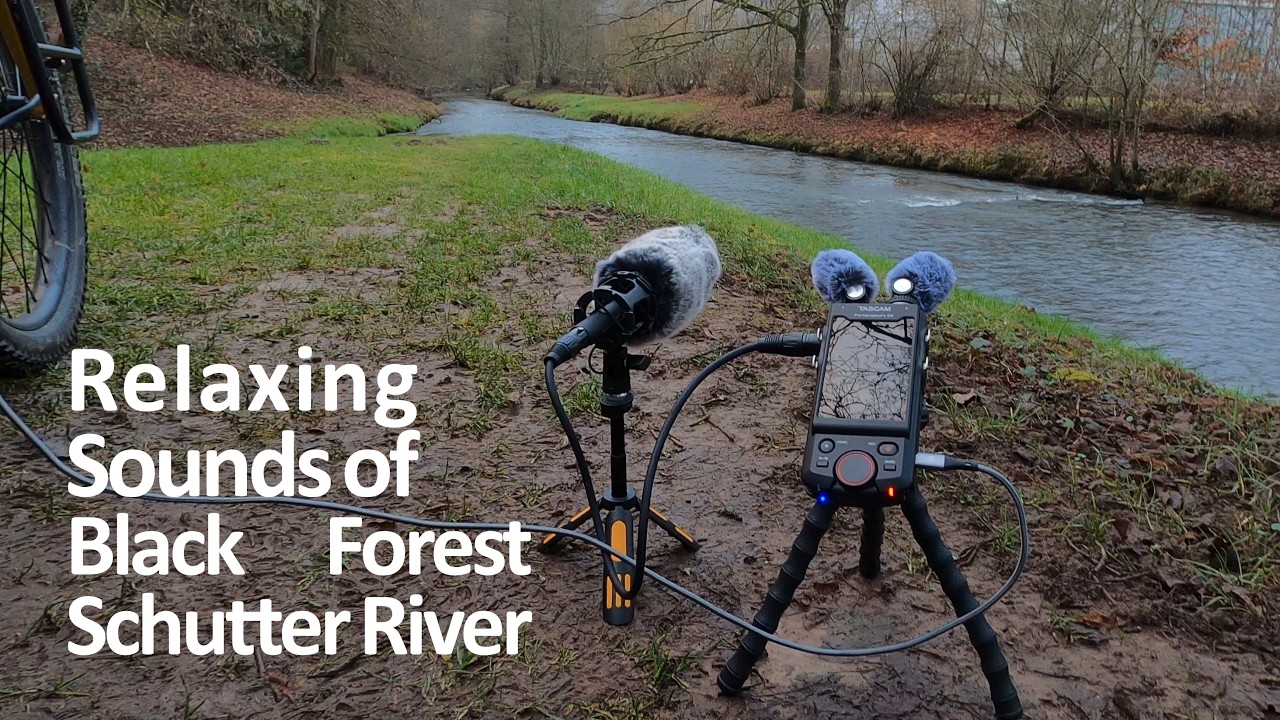 Relaxing Sound of Schutter River in Germany (no loop!)