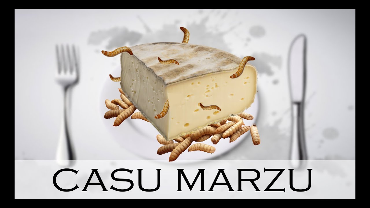 LE CASU MARZU - LE FROMAGE AUX ASTICOTS - À Votre Table #4