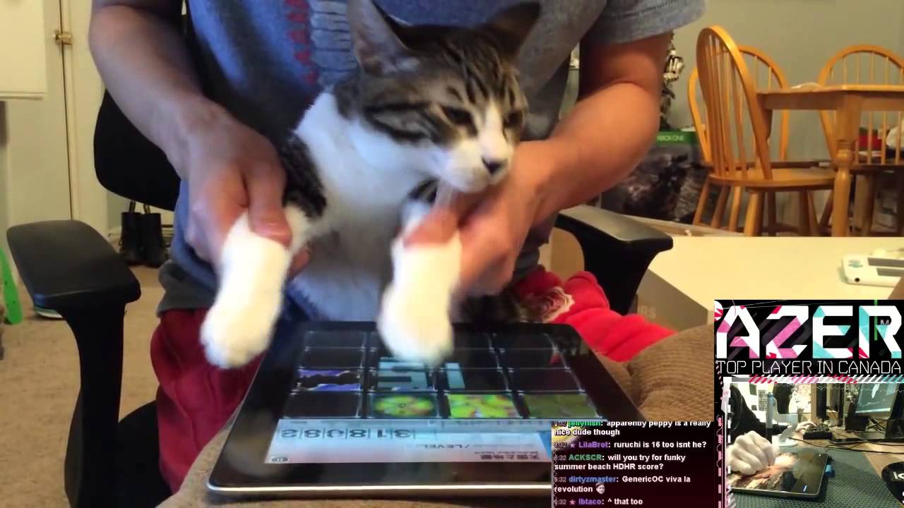 Azer 577 PP CATPLAY!!!! WTF INSANE?!?