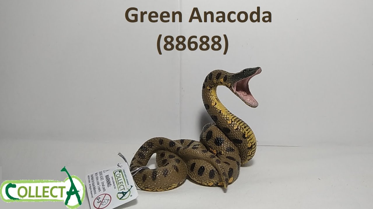 CollectA green Anancoda (88688) Review!