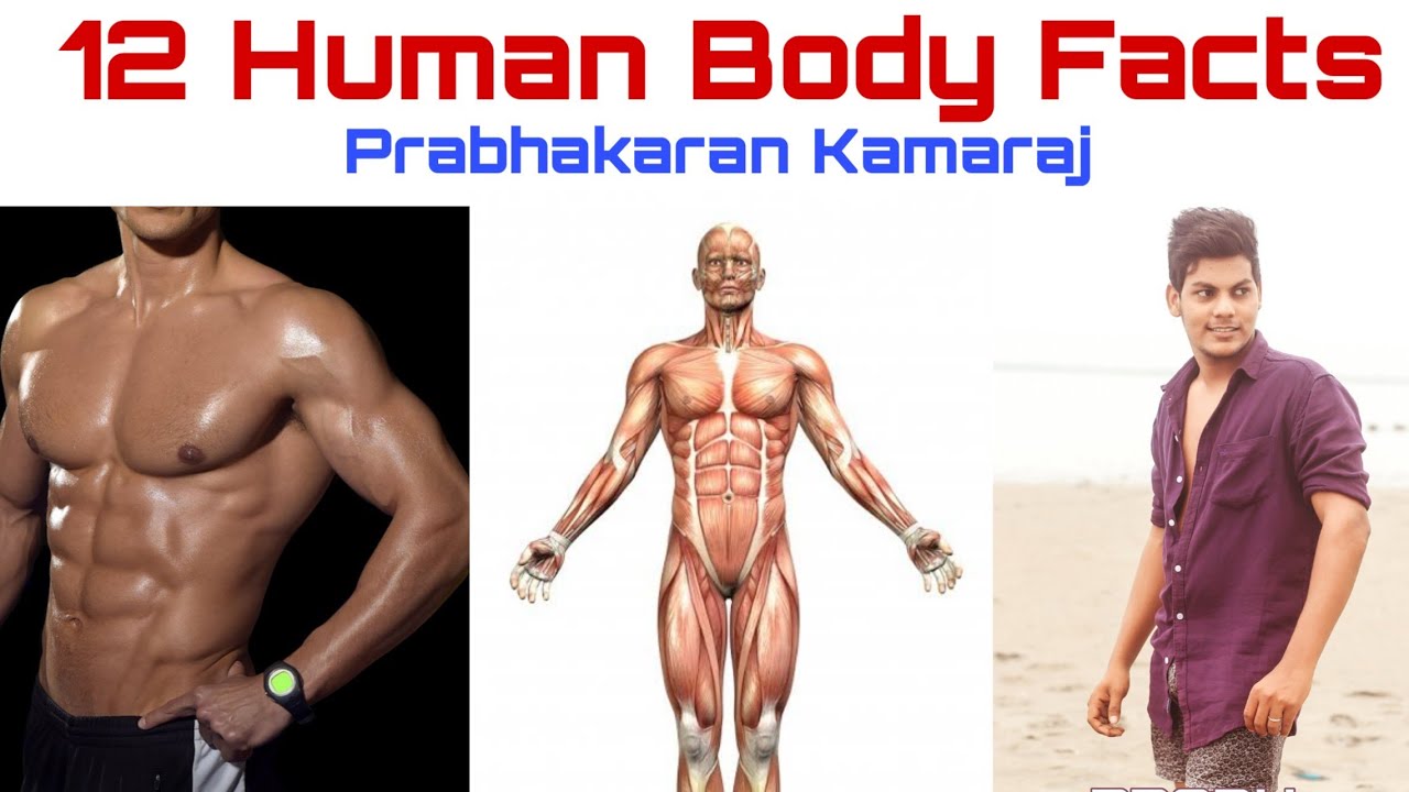 12 Human Body Facts | Body Facts | Men Women | Structure | TAMIL | Prabhakaran Kamaraj