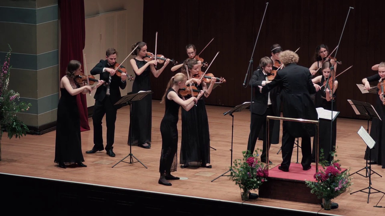 Josef Suk: Serenade for strings op. 6 - 1st Mvt