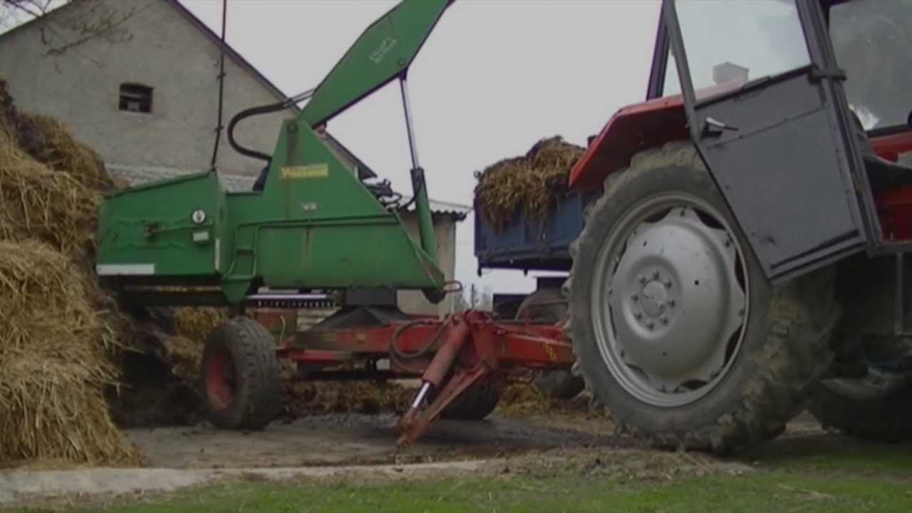 Opróżnianie płyty z obornikiem 2013 / URSUS / MF / FORTSCHRITT / CYKLOP [FULL HD]