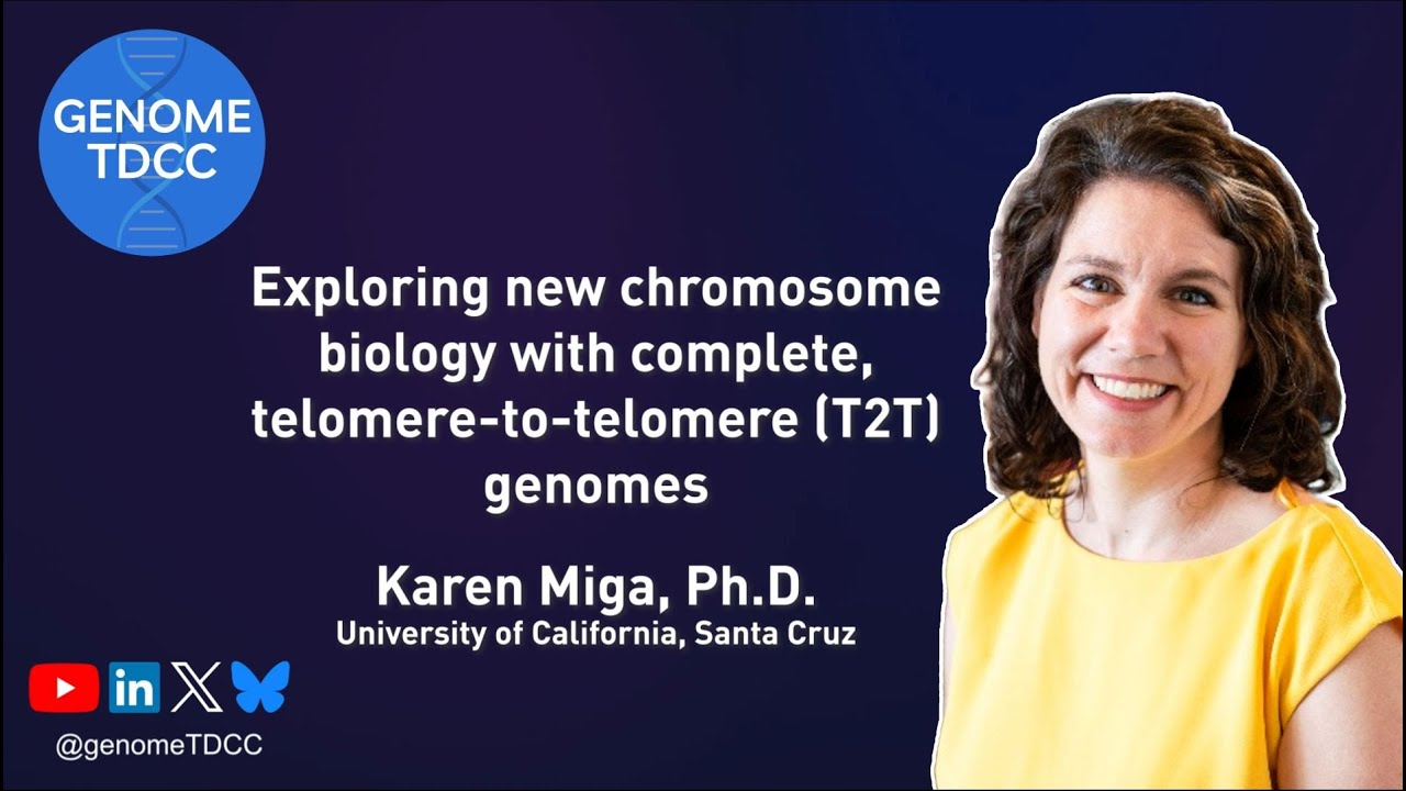 Exploring new chromosome biology with complete, telomere-to-telomere (T2T) genomes