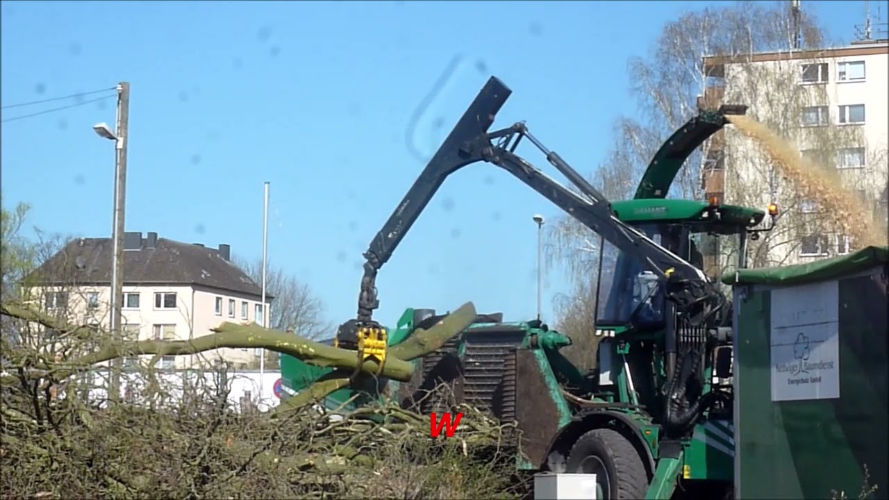 Essen-Freisenbruch Einkaufzentrum Quartier am Hellweg letzte Bäume werden geschreddert 7  31.03.2021