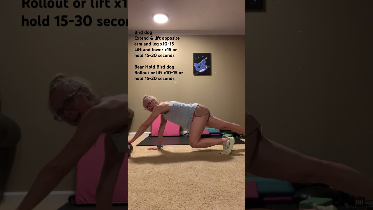 🐅🩸⚽️ Video 5/5. Core balance. Bird dog and Bear Hold.
