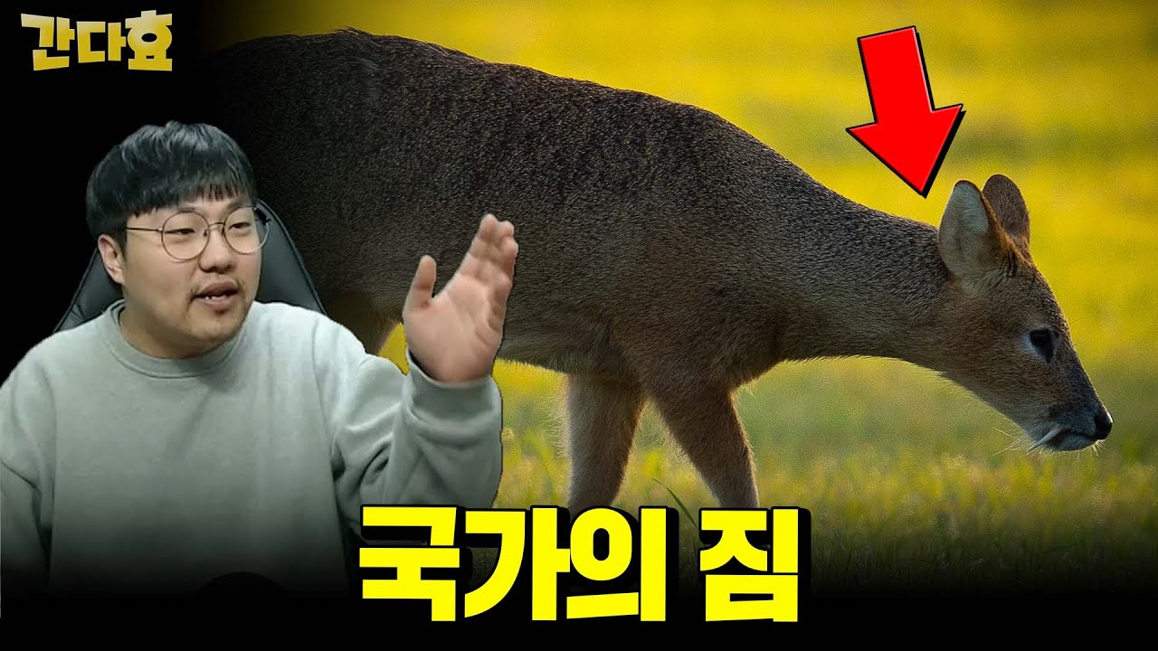 대한민국 국가의 적?