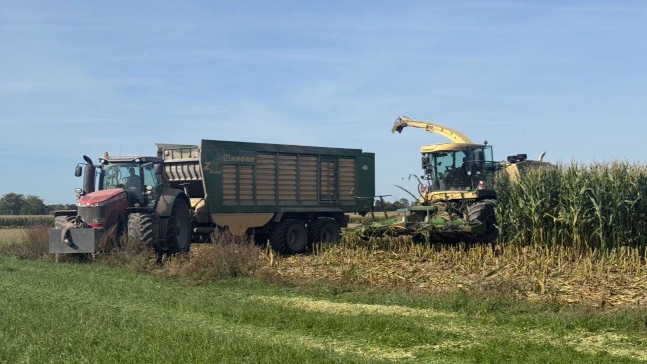 ✓Kukurydza 2025 z UR Skup🌽 | ✓2x Fendt 🔥| ✓2x Massey & ✓Krone Big x700 |☆