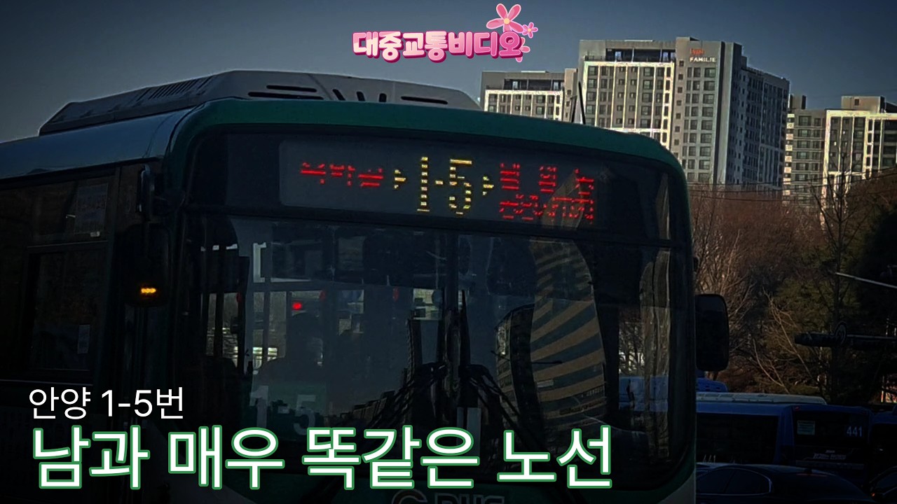 남과 똑같다는 이유로 위기를 맞고 있었던 노선 | 안양 1-5번 | 대중교통비디오
