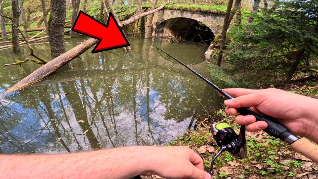 NEUVĚŘITELNÉ MÍSTO | Objevili jsme nové bayou. Budou v něm ryby?