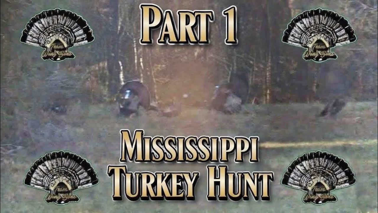 (Part 1) MISSISSIPPI TURKEY HUNTING - WING BONE TURKEY CALL - HENNED UP GOBBLERS 