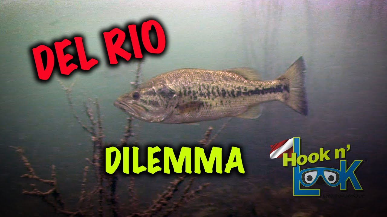 Del Rio Dilemma - FULL EPISODE