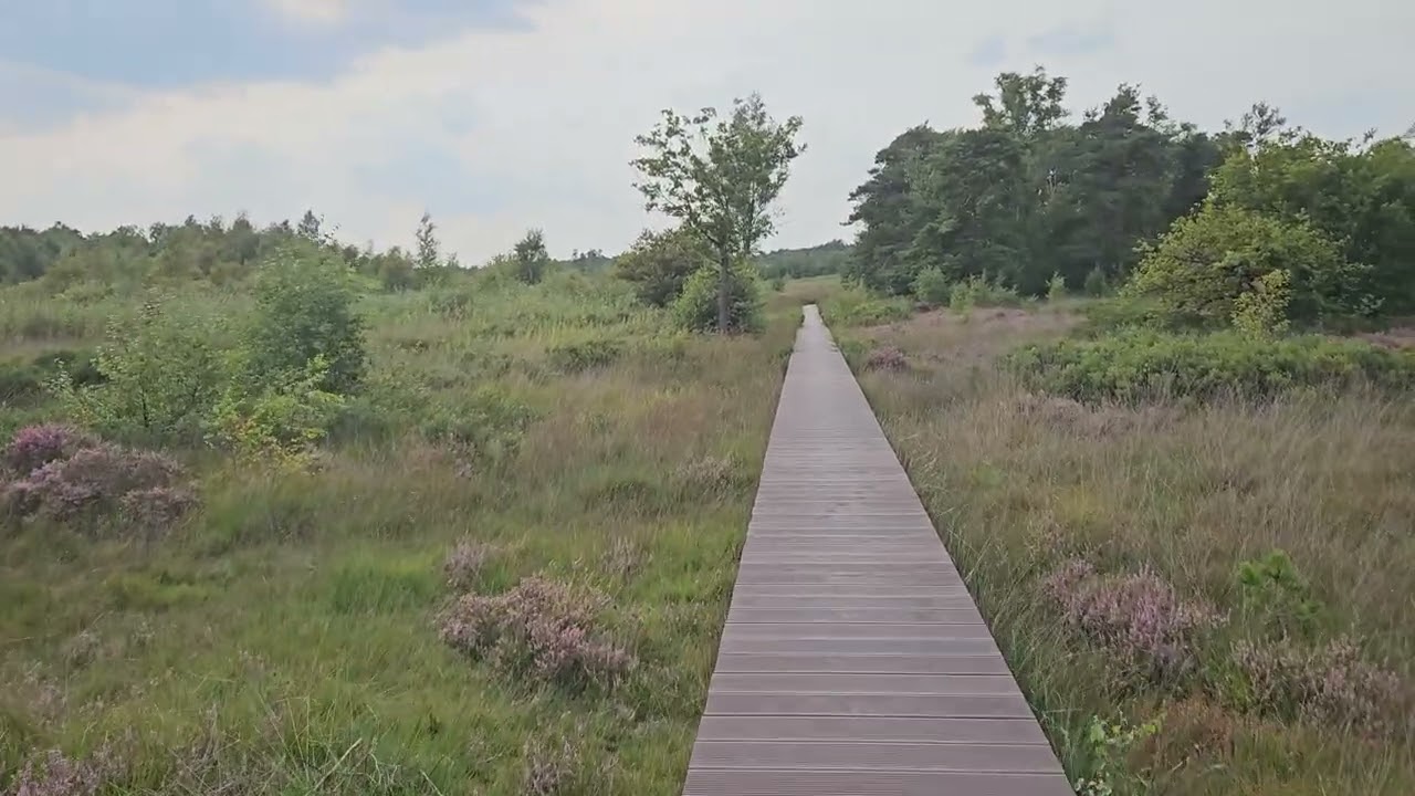 Korenburgerveen / Winterswijk / Walking tour /Marveld Recreatie / Achterhoek / Nederland / 2025 