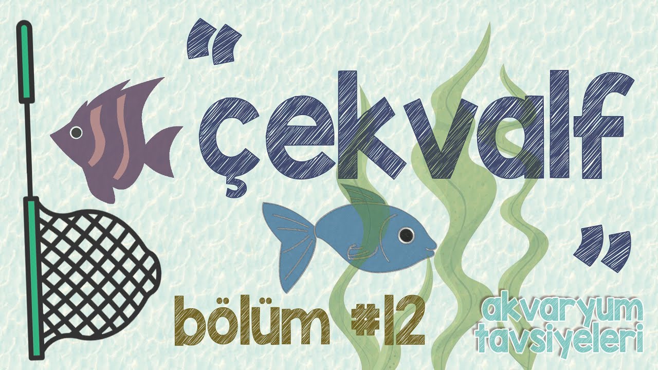 ZET Akvaryum Tavsiyeleri - Bölüm #12 