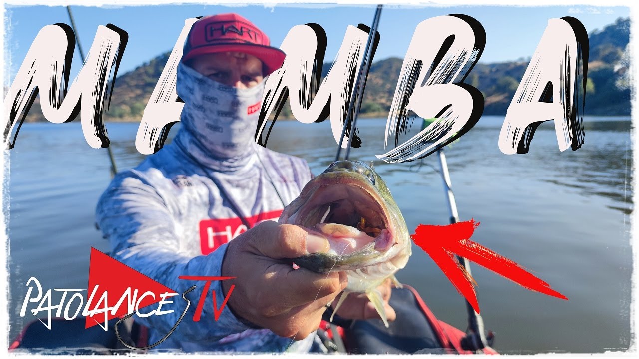 El MAMBA me DIO los PECES BUENOS