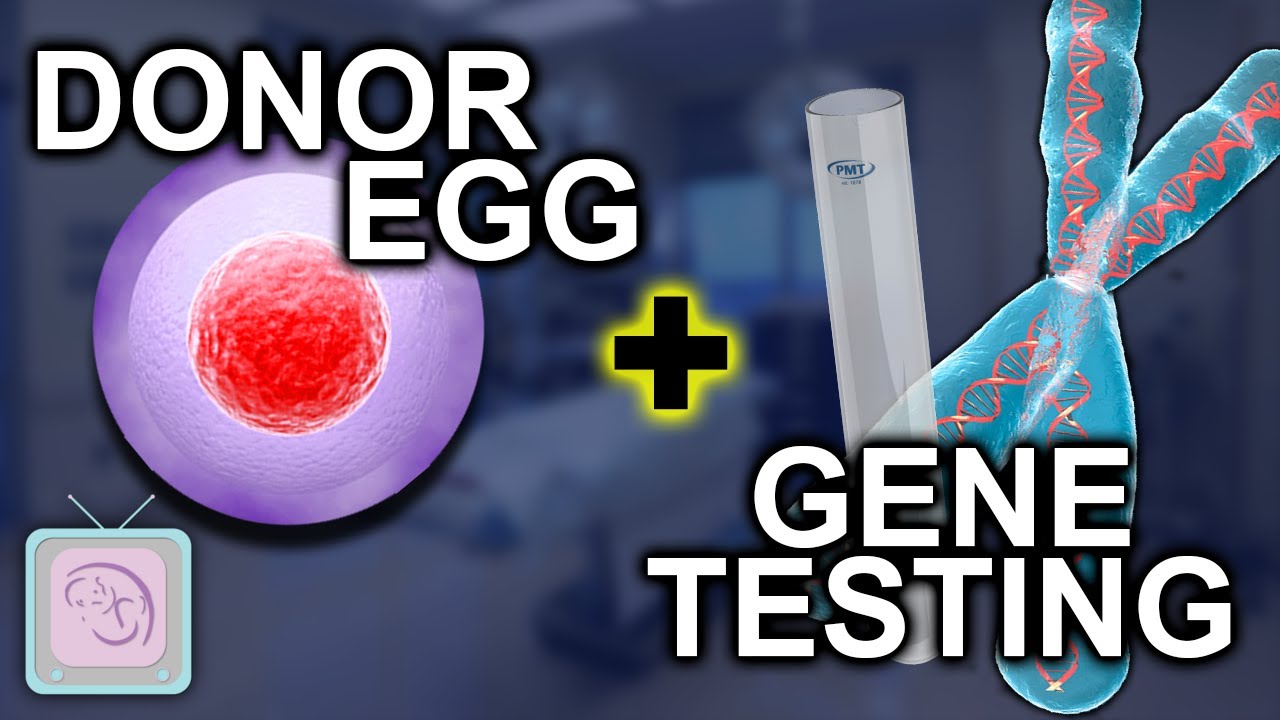 Is PGD necessary when doing IVF with Egg Donation?