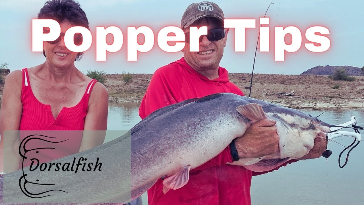 Popper tips wat jou kan help! (Popping/prop vir baber /catfish / barbel/ toffie/ toffee)