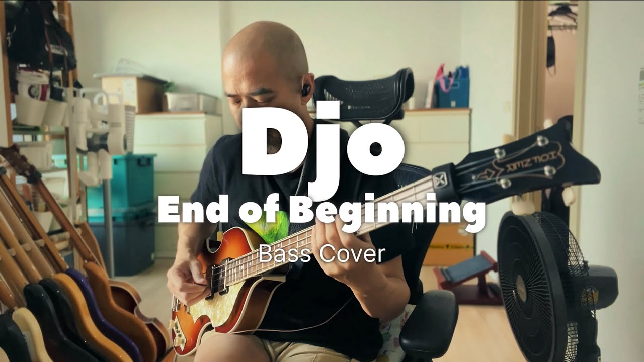Hofner HCT 500/1 Cavern Bass - Djo: End of Beginning Bass Cover