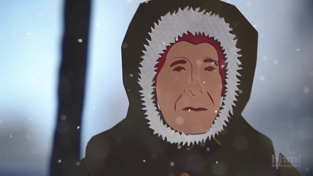 Vida Animada: Pangea | HHMI BioInteractive Video